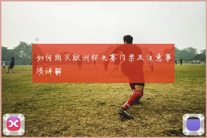 如何购买欧洲杯决赛门票及注意事项详解